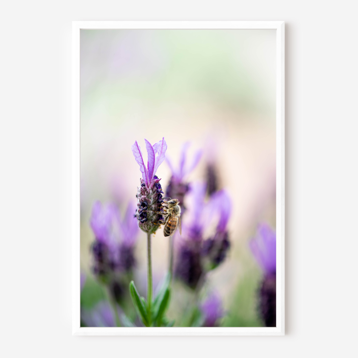 Bee-autiful