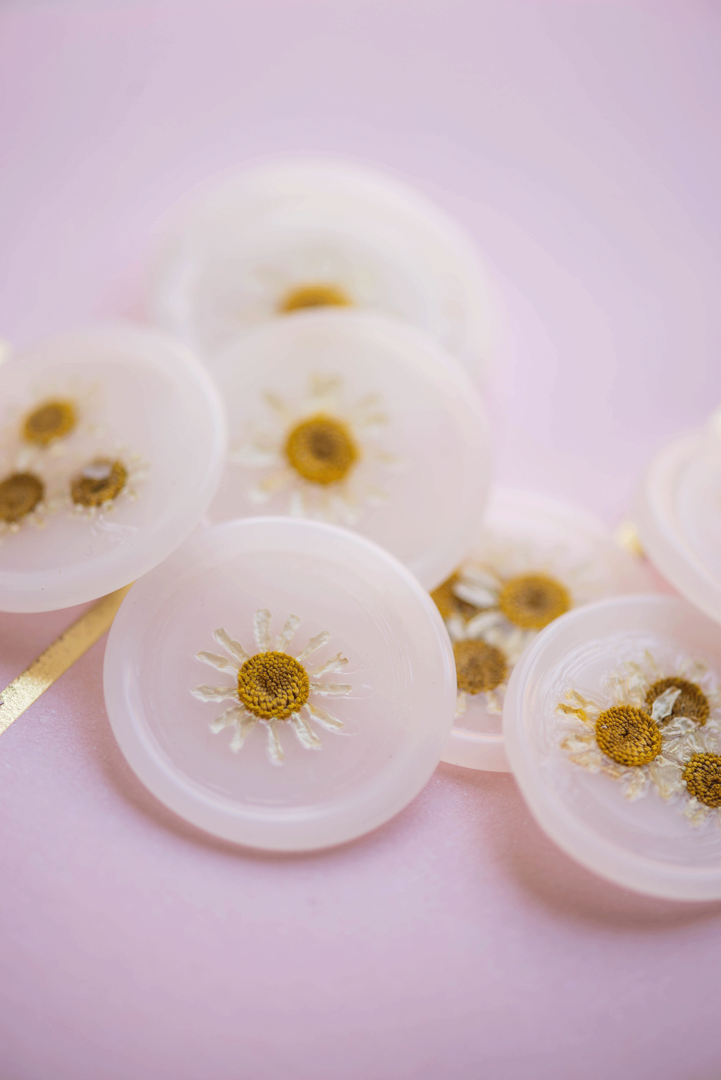 Dried Chamomile Flower Wax Seals