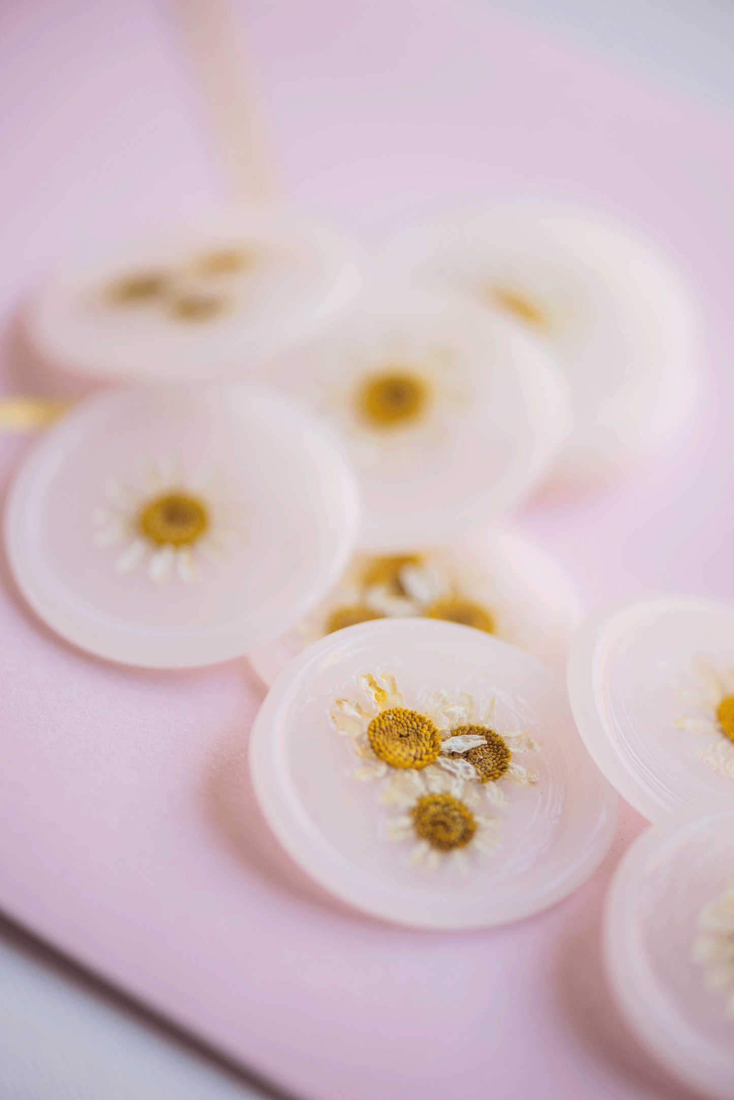 Dried Chamomile Flower Wax Seals