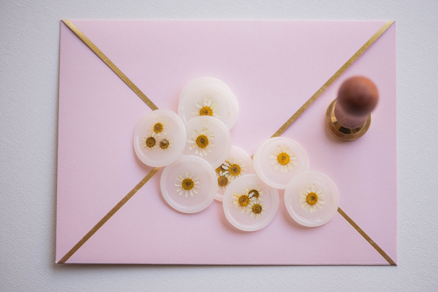 Dried Chamomile Flower Wax Seals