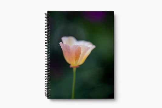 Forever Love - Lined Notebook - Large Journal - 8.5 x 11