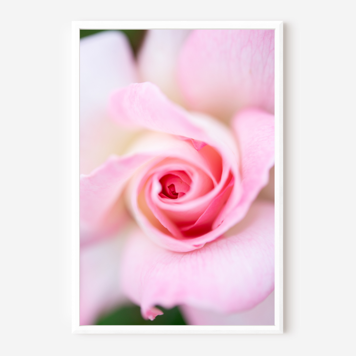 Pretty & Pink - Fine Art Photography - Art for your home or Office